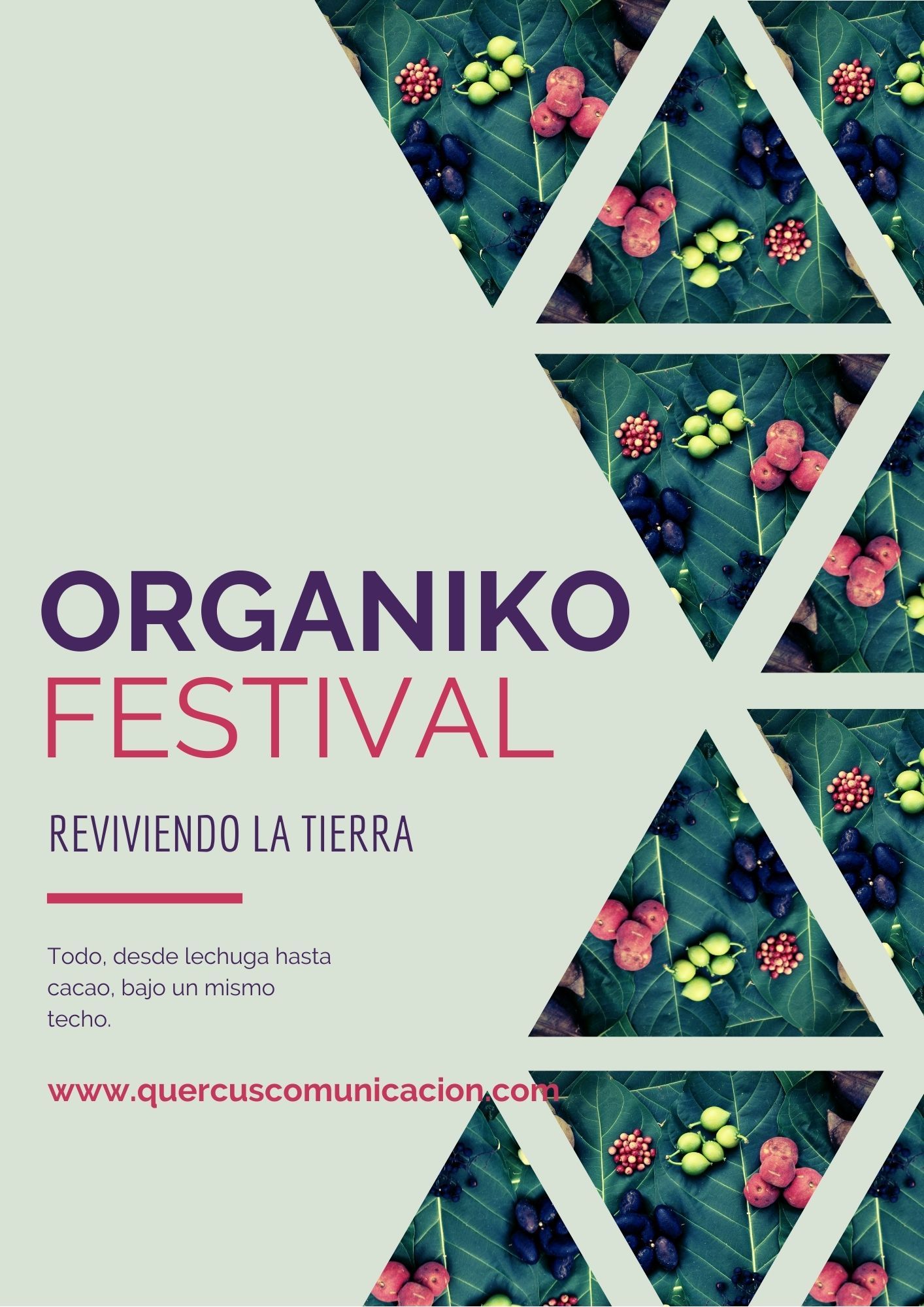 Verde Morado Rosa Foto Órganico Evento Publicidad (1)