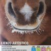 Lienzo Artístico con bastidor de Madera